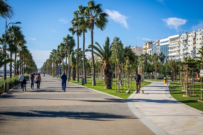 Limassol Private Walking Tour with a Local - Starting at the Archaeological Museum