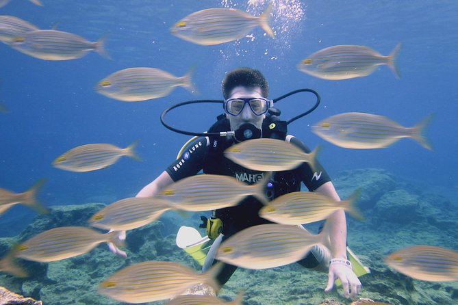 Local Guided Dives (for certified/licensed divers) - Getting ready: paperwork, gear and a sensible site choice
