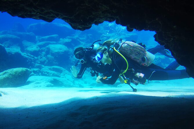 Local Guided Dives (for certified/licensed divers) - DeCosta Bay and Crystal Cove: turtles, eels and octopus