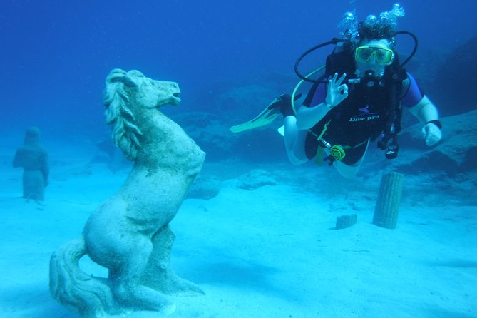 Local Guided Dives (for certified/licensed divers) - Photos, logbooks and the pleasant return to shore