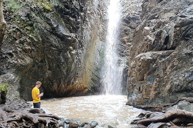 Meet the locals of Troodos mountains - Omodos, stone lanes and free time