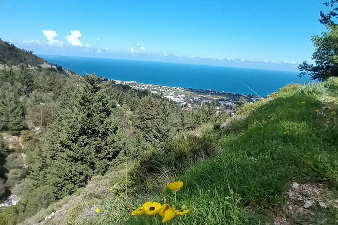 Nature Walking tour in the Mediterranean Cyprus-6days - Day 3: Ilgaz and a quieter side of the west