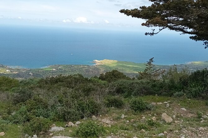 Nature Walking tour in the Mediterranean Cyprus-6days - Day 6: Karmi and a fitting finish
