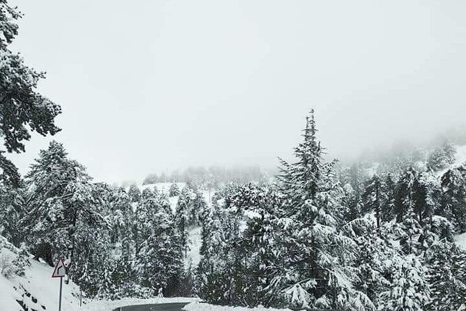 Omodos and Winiary tour, let's feel winter in Cyprus Mountain. - Omodos makes a strong first stop