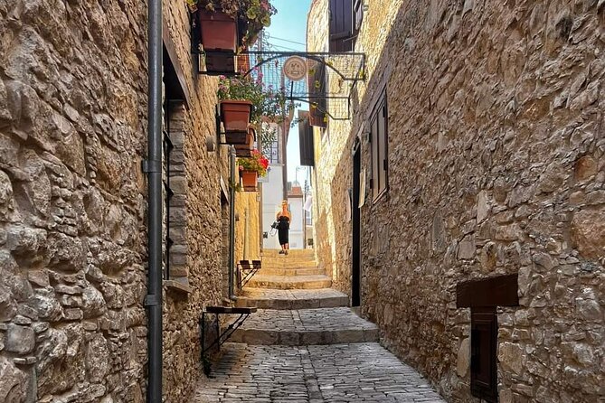 Omodos and Winiary tour, let's feel winter in Cyprus Mountain. - What the small van changes