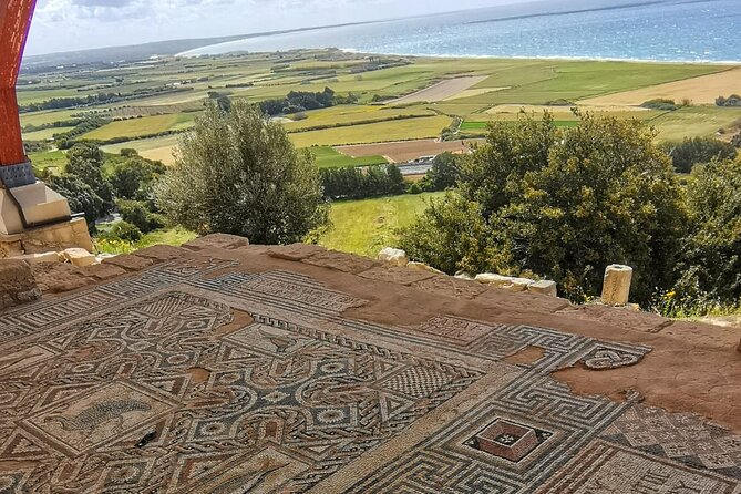 Pafos - Archaeology & Beauty tour from Limassol - The House of Dionysus and Pafos’s remarkable mosaics
