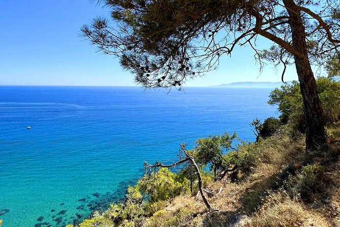 Paphos: Akamas Gorge & Turtle Bay & Donkey Farm Jeep Safari Tour - Lara Bay and the turtle conservation area