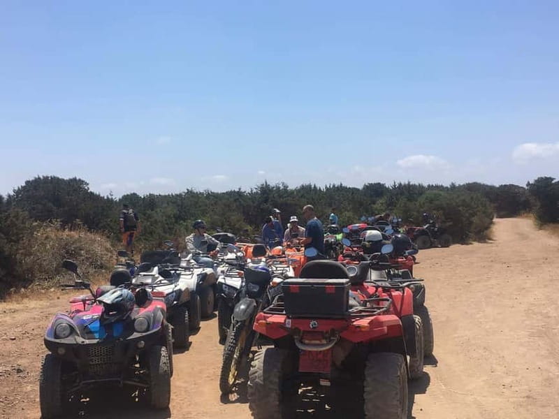 Paphos: Buggy Tour Akamas incl and Adonis Falls - Lara Bay gives the route a welcome pause