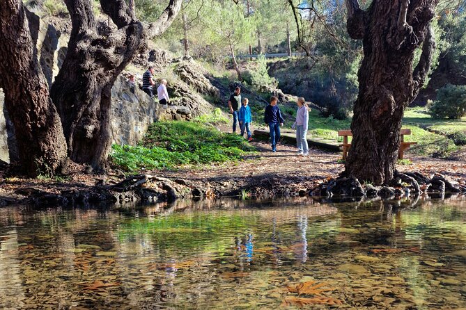 Paphos - Troodos Mountains: To the highest peaks. - Key points to know before booking