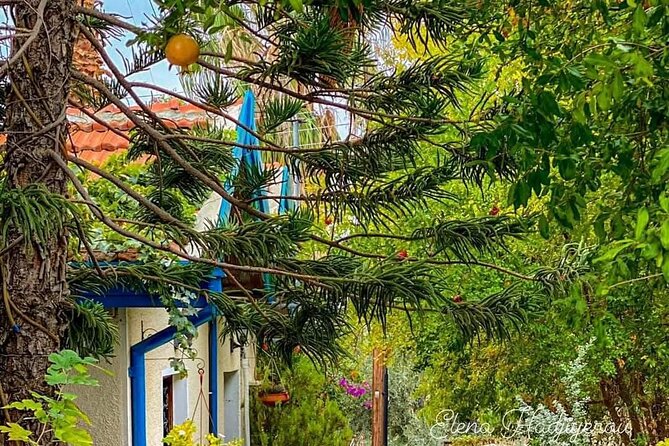 Perfect Day Trip to Beautiful Lefkara tour from Limassol. - Who will enjoy this Lefkara trip most