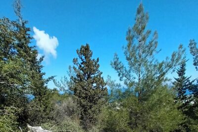 Private Day Walk in the Nature Near Kyrenia, Cyprus