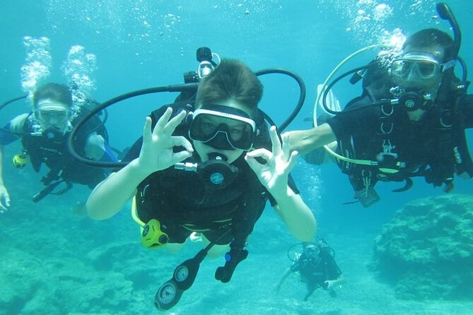 Private Discovery Dive + Photos & Videos - How private changes the experience