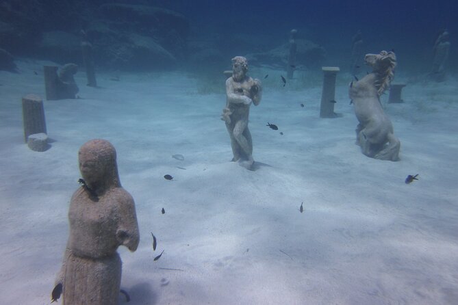 Private Discovery Dive + Photos & Videos - Health rules you should take seriously