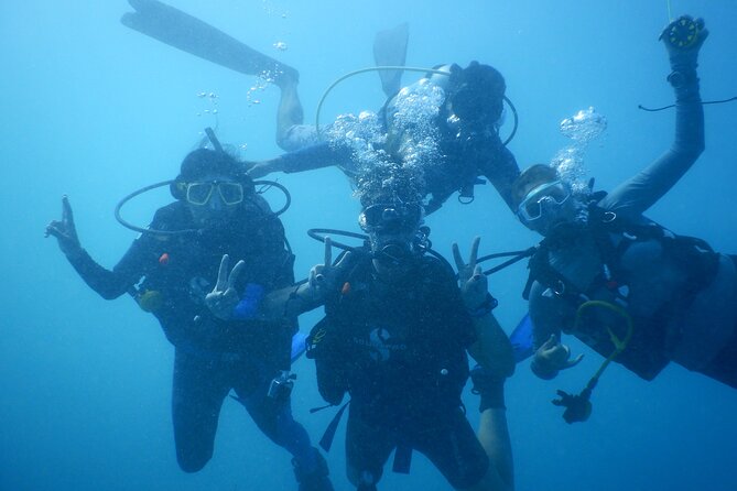 Private Discovery Scuba Diving with Sea Turtles - Green Bay is a forgiving place to start
