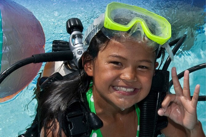 Private Discovery Scuba Diving with Sea Turtles - What happens during the three-and-a-half-hour session