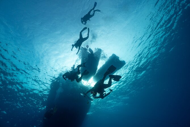 Private Discovery Scuba Diving with Sea Turtles - Practical planning for your Protaras day