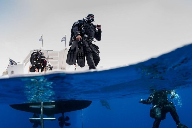 Private Diving at Zenobia Wreck in Larnaka - Key points about the Zenobia experience