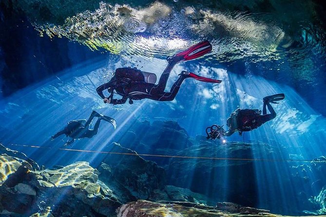 Private Diving at Zenobia Wreck in Larnaka - Price and overall value