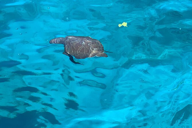 Protaras: St Georgios Presidential Cruise BBQ & 1 drink. 16+ - Blue Lagoon swimming with Cape Greco views