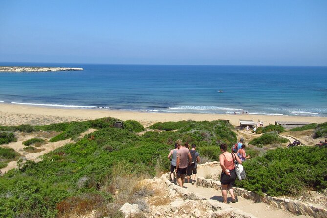 Quad or Buggy Tour from Coral Bay to Akamas Forest - Lara Bay and the turtle conservation area