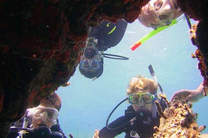 Scuba Diver Course - Key points to know before booking