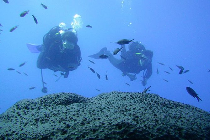 Scuba Diver Course - What this two-day Latchi course really offers