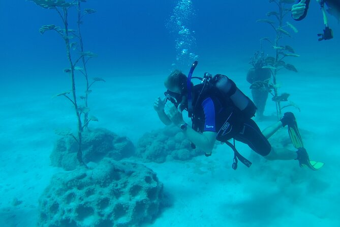 Scuba Diving Cyprus Experience Protaras and Ayia Napa & Turtles - How the instruction affects the experience