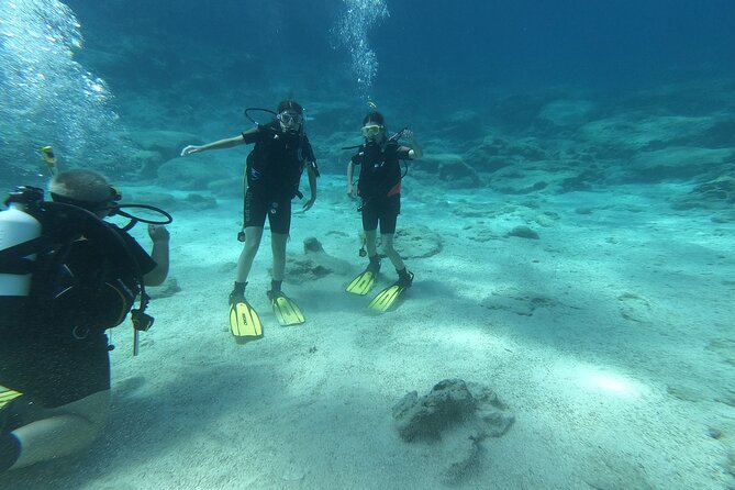 Scuba Diving Cyprus Experience Protaras and Ayia Napa & Turtles - The first lesson: breathing, signals, and safety