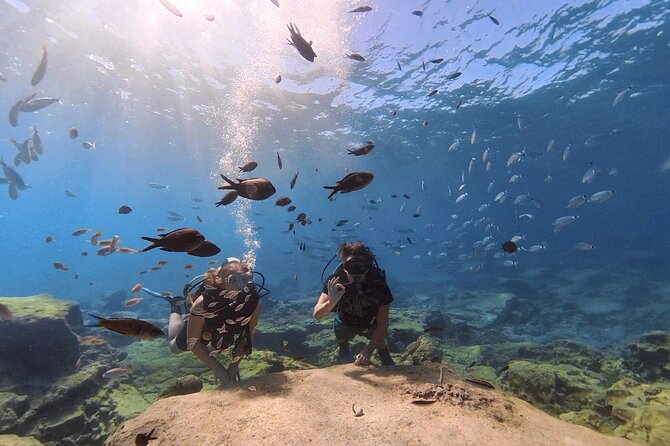 Scuba Diving Experience (10+ Years) AND Free Edited Video - Is $84.48 a fair price?