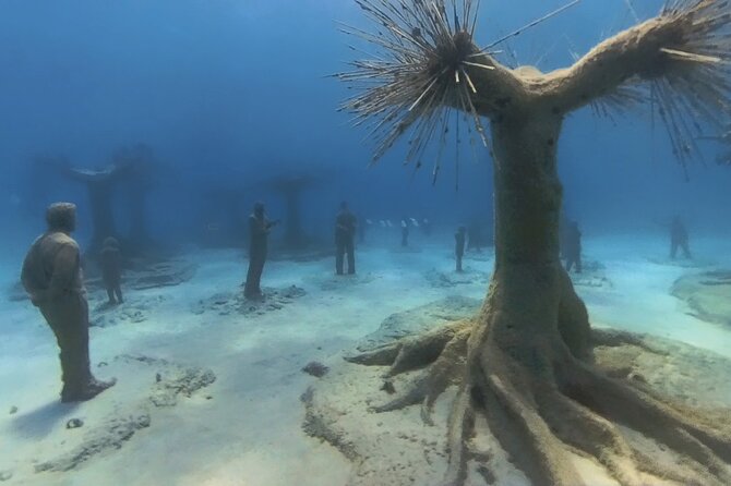 Scuba Diving Experience & MUSAN Dive + Free Edited Video 2xdives - Key points to know before booking