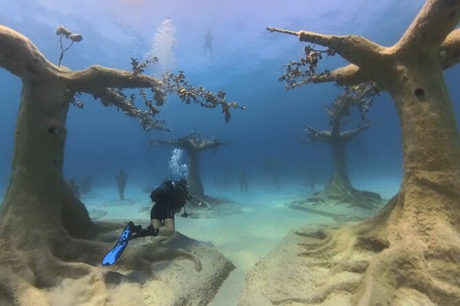 Scuba Diving Experience & MUSAN Dive + Free Edited Video 2xdives - MUSAN: Cyprus’s underwater sculpture museum