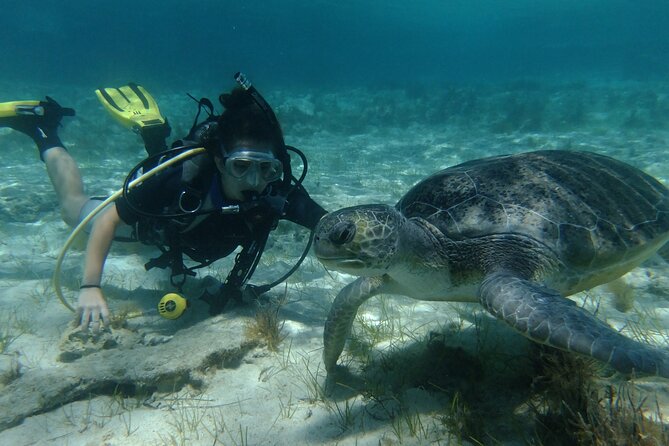 SCUBA DIVING first time experience - A calm first step into SCUBA