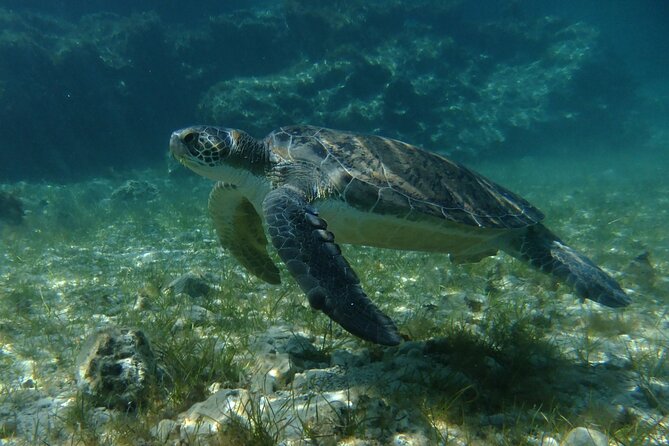 SCUBA DIVING first time experience - Is $90.74 a fair price?