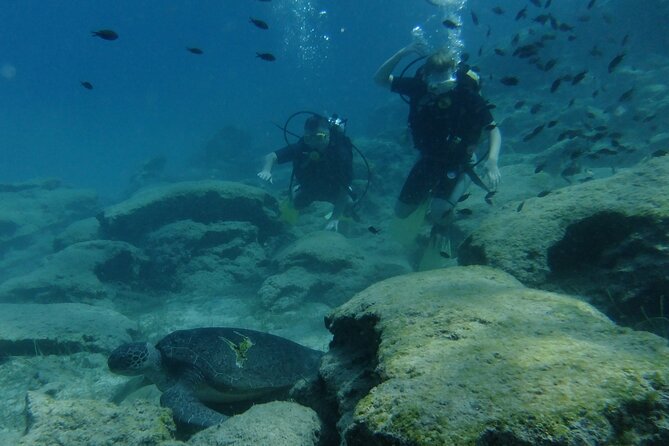SCUBA DIVING first time experience - Who should book this experience?