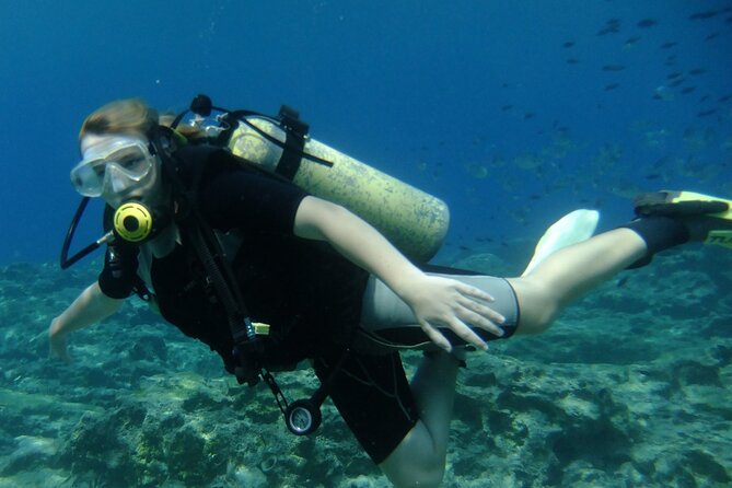 SCUBA DIVING first time experience - Booking, cancellation, and weather