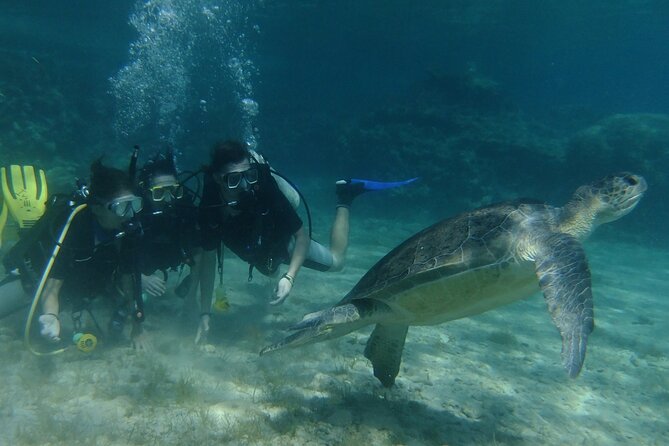 SCUBA DIVING first time experience - Green Bay, fish, and the chance of turtles