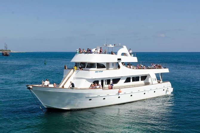 Sea Star Coral Express Cruise from Paphos - Key points at a glance