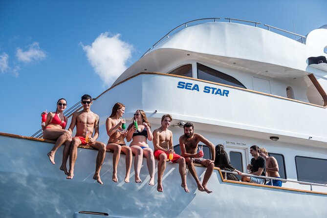 Sea Star | Half Day Cruise - Key points at a glance
