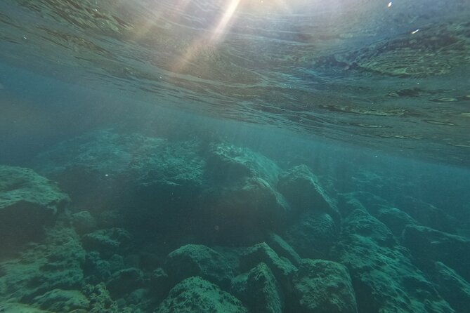 snorkeling ,Turtle Watching in Cyprus - Why the small groups matter underwater