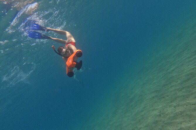 snorkeling ,Turtle Watching in Cyprus - The refreshment break and the photo bonus