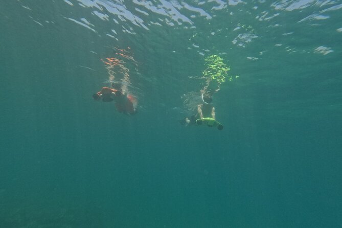 snorkeling ,Turtle Watching in Cyprus - What the $72.59 price really covers