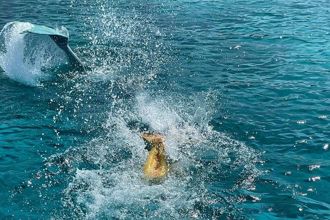 The Mermaid Cruise by Medusa Cruises – 2:30-Hour Family Adventure - The Blue Lagoon is the real centerpiece