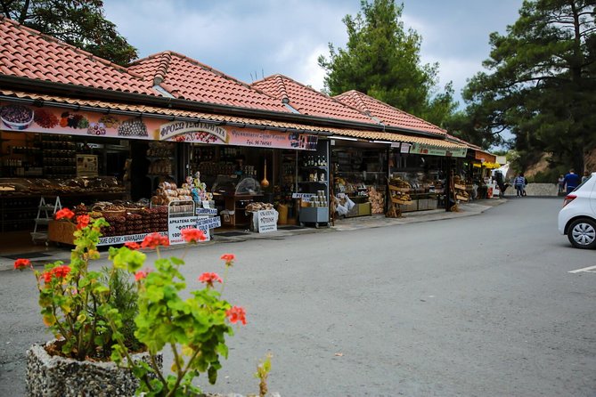 Tour to Troodos, Kykkos Monastery, Omodos and Winery from Paphos - From Paphos to the Troodos Mountains