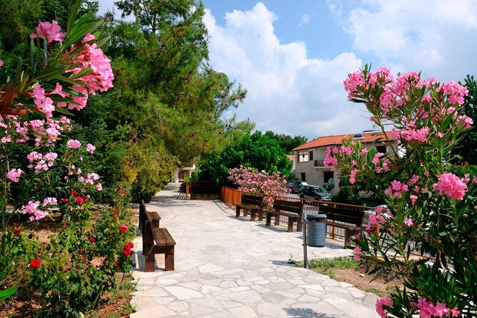 Troodos Jeep Safari from Protaras,Ayia napa & Larnaca - Key points to know before booking