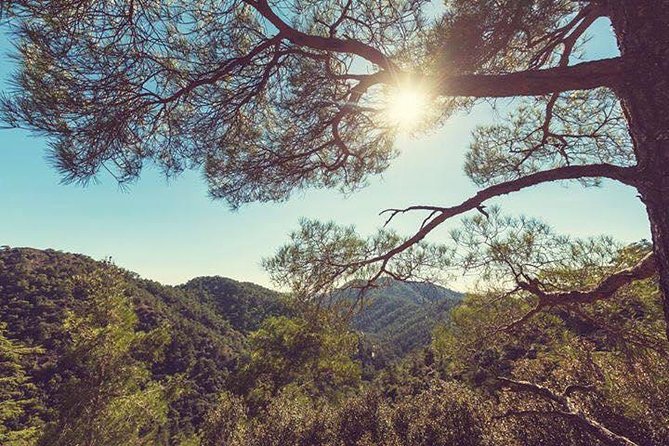Troodos Jeep Safari from Protaras,Ayia napa & Larnaca - Wine tasting at Lambouri Winery