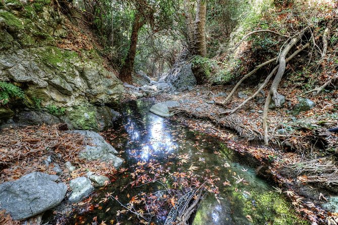 Troodos Jeep Safari from Protaras,Ayia napa & Larnaca - Price, comfort, and overall value