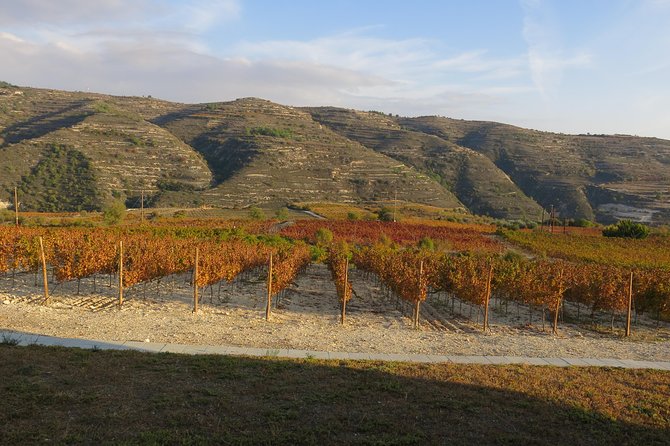 Troodos Mountains Grape Escape: All Inclusive Food & Wine Tour - Linos Winery and the second tasting