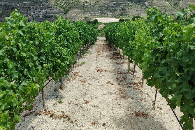Troodos Mountains Grape Escape: All Inclusive Food & Wine Tour - What the $142.71 price really covers
