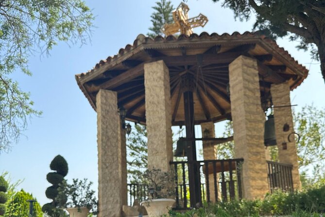 Troodos Mountains Jeep Tour with Wine Tasting - A quick olive tree stop in Avdimou