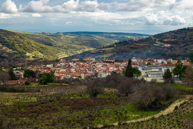 Troodos Mountains Villages: All Inclusive Food & Wine Day Tour - Tsangarides Winery and modern Cypriot wine